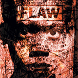 Flaw - Through the eyes (LP)