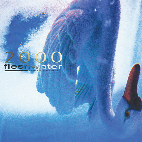 Fleshwater - 2000: in search of the endless sky (CD) - Velvet Music