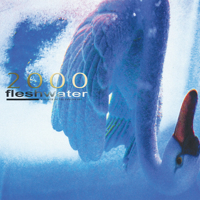 Fleshwater - 2000: in search of the endless sky (CD) - Velvet Music