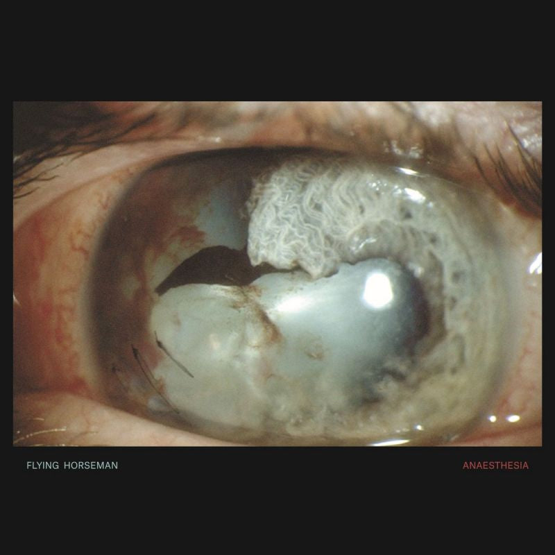 Flying Horseman - Anaesthesia (LP) - Velvet Music