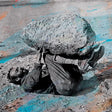Forest Swords - Compassion (CD) - Velvet Music