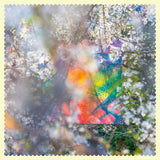 Four Tet - Sixteen oceans (CD) - Velvet Music