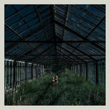 Foxing - Dealer (LP) - Velvet Music
