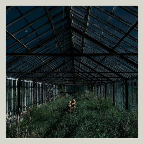 Foxing - Dealer (LP) - Velvet Music
