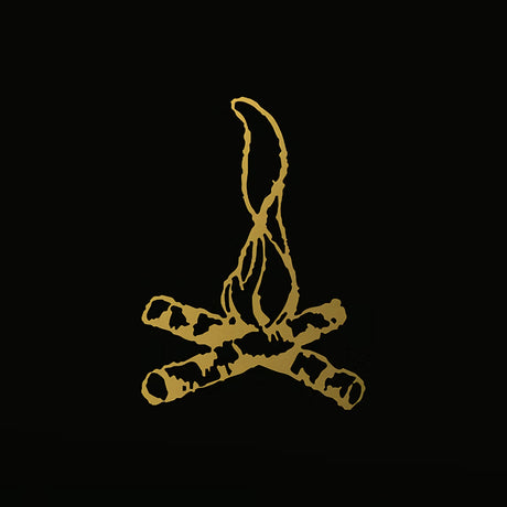 Frank Turner - Campfire punkrock 20 (LP) - Velvet Music