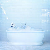 Frankie Cosmos - Vessel (CD) - Velvet Music