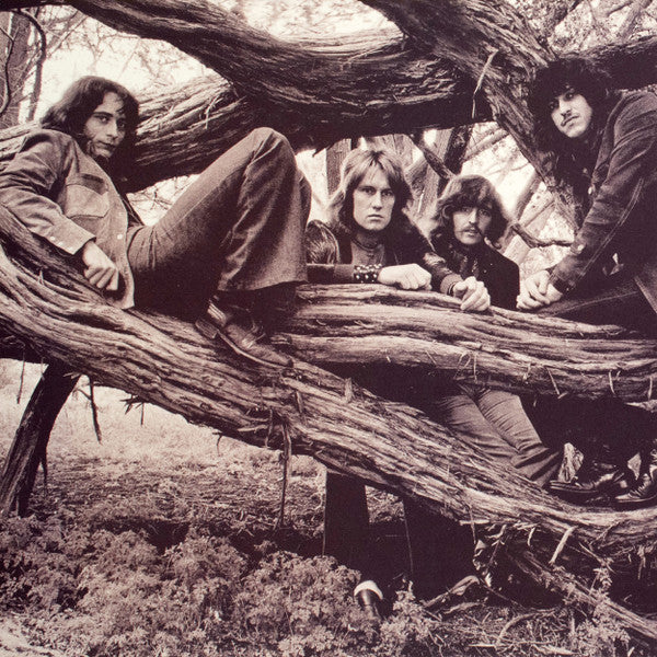 Ten Years After - Live At The Fillmore East 1970 (LP) - Velvet Music