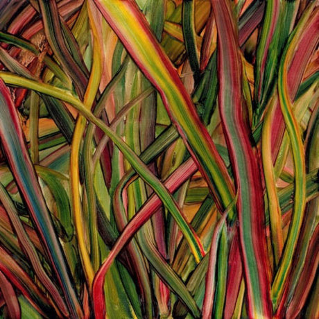Gengahr - Where wildness grows (LP) - Velvet Music