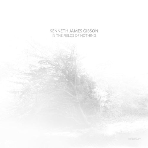 Kenneth James Gibson - In the fields of nothing (LP) - Velvet Music