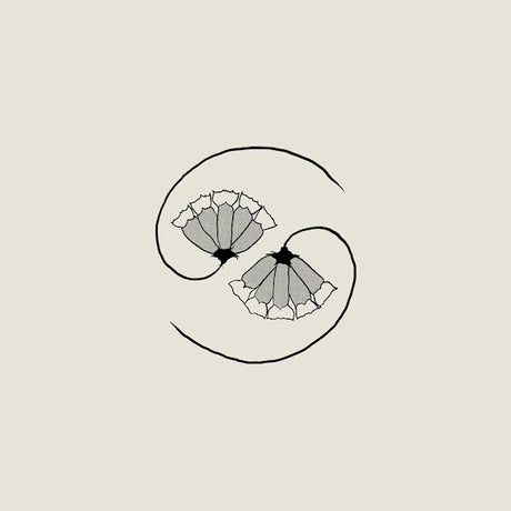 Godspeed You Black Emperor - G_d's pee at state's end (CD) - Velvet Music