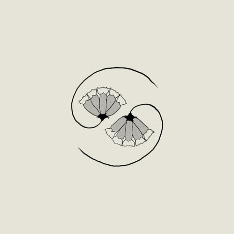 Godspeed You Black Emperor - G_d's pee at state's end (CD) - Velvet Music
