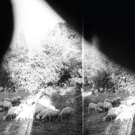 Godspeed You Black Emperor - Asunder, sweet & other distress (LP) - Velvet Music