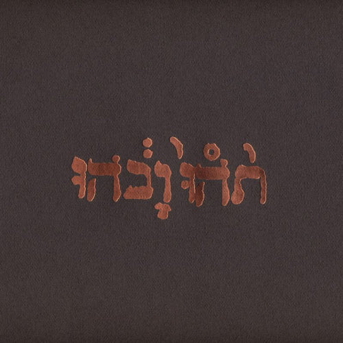 Godspeed You Black Emperor - Slow riot for new zero kanada (LP) - Velvet Music