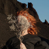 Goldfrapp - Silver eye (CD) - Velvet Music