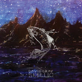 David Gray - Skellig (LP) - Velvet Music