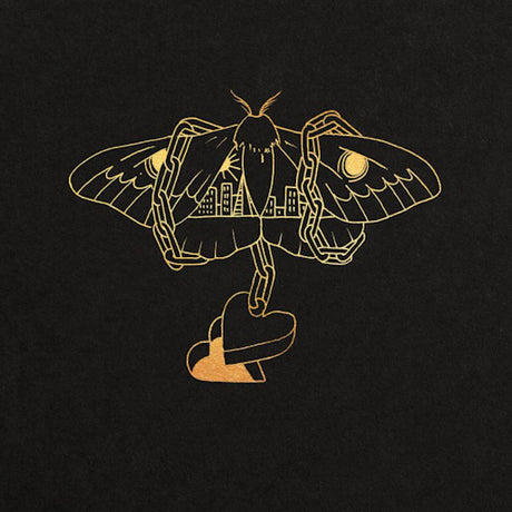 David Gray - Gold in a brass age (LP) - Velvet Music