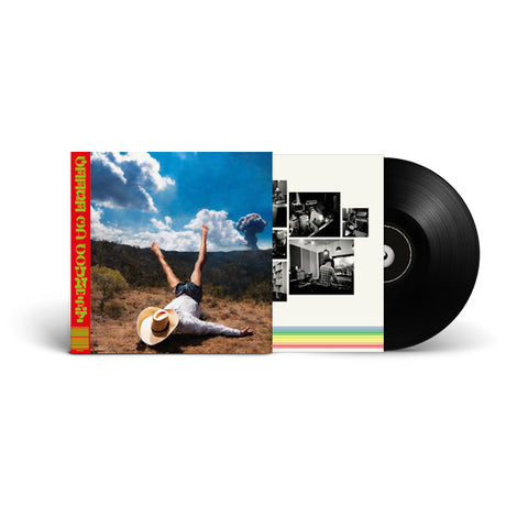 Geese - 3d country (LP) - Velvet Music