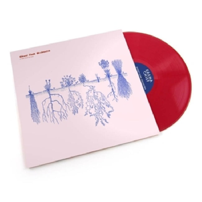 Ghost Funk Orchestra - A new kind of love (LP)