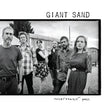 Giant Sand - Heartbreak pass (white) (LP) - Velvet Music