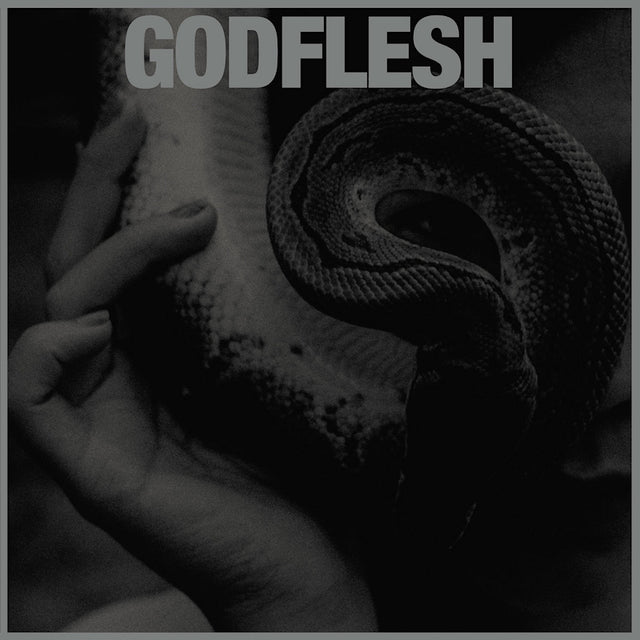 Godflesh - Purge (LP) - Velvet Music