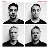 Goose - What you need (LP) - Velvet Music