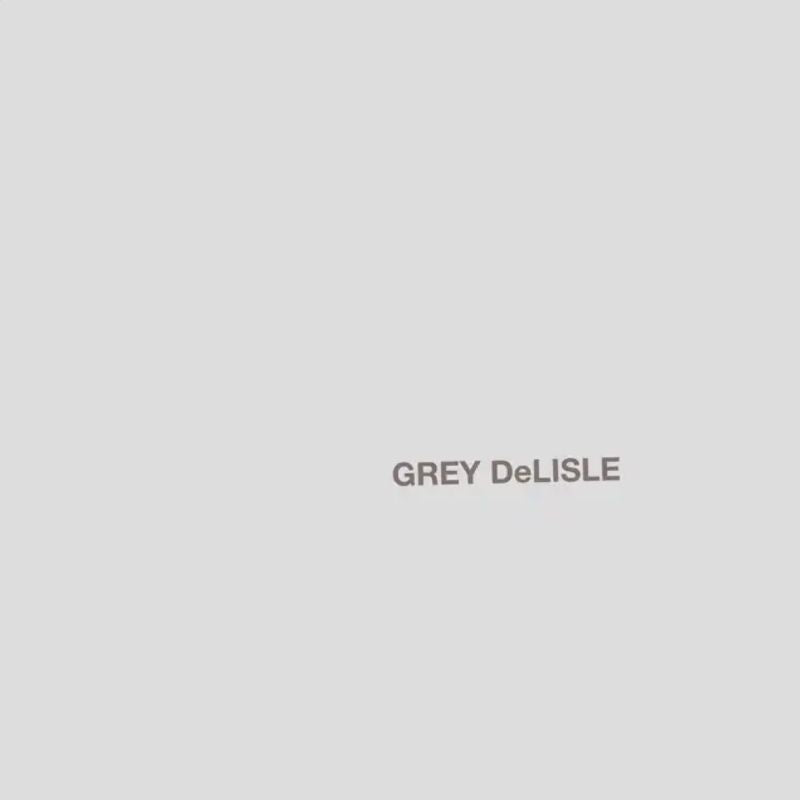 Grey Delisle - The grey album (CD) - Velvet Music
