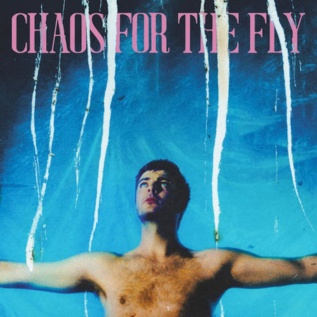 Grian Chatten - Chaos for the fly (LP) - Velvet Music