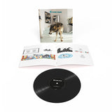 Grinderman - Grinderman 2 (LP)
