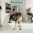 Grinderman - Grinderman 2 (CD) - Velvet Music