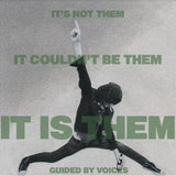 Guided By Voices - It's not them. it couldn't be them. it's them! (LP) - Velvet Music