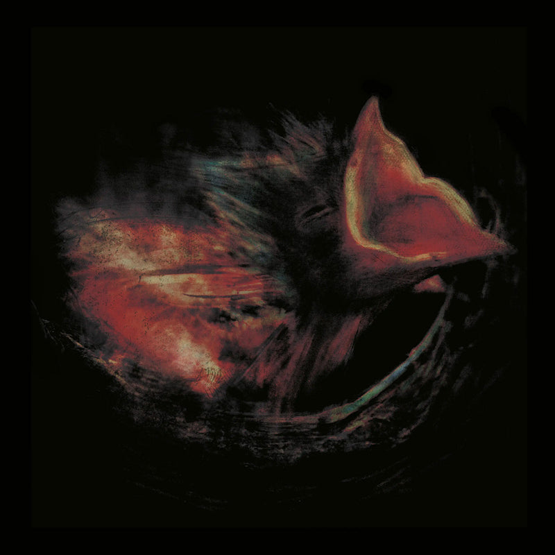 Gurriers - Nobody's coming to save you (LP)