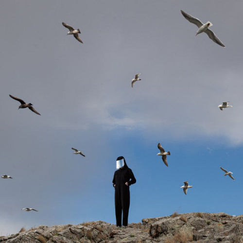 Hamerkop - Remote (LP)