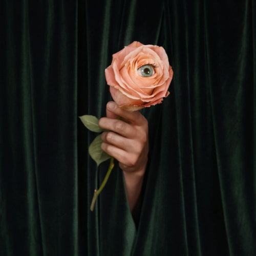 Marian Hill - Unusual (LP) - Velvet Music