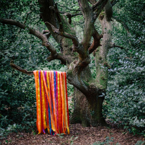 James Holden & The Animal Spirits - The animal spirits (LP) - Velvet Music