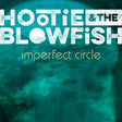 Hootie & The Blowfish - Imperfect circle (LP) - Velvet Music
