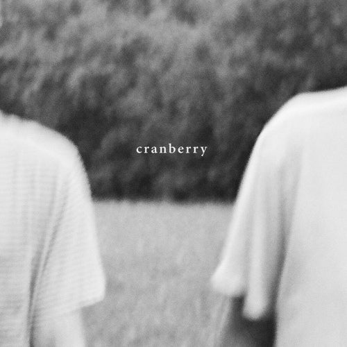 Hovvdy - Cranberry (music cassette)