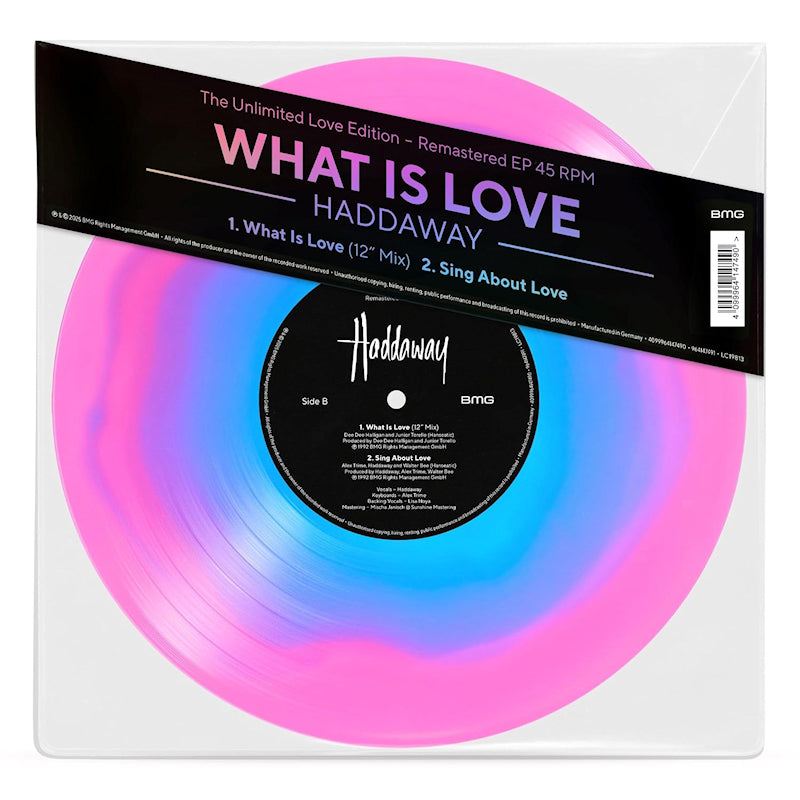 Haddaway - What is love (10-inch) - Velvet Music
