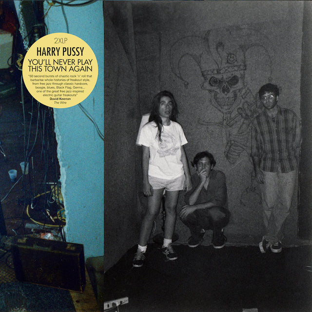 Harry Pussy - You'll never play this town again (LP) - Velvet Music