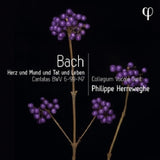 Philippe Herreweghe - Herz und mund und tat und leben (CD)
