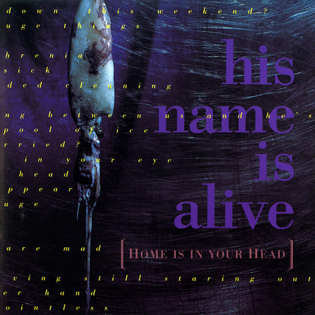 His Name Is Alive - Home is in your head (CD) - Velvet Music
