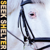 Iceage - Seek shelter (LP) - Velvet Music