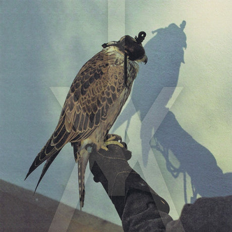 Iceage - You're nothing (CD)