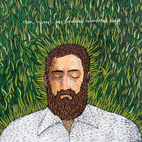 Iron & Wine - Our endless numbered days (CD) - Velvet Music