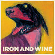 Iron & Wine - Shepherd's dog (LP) - Velvet Music