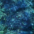 Ichiko Aoba - Luminescent creatures (CD) - Velvet Music