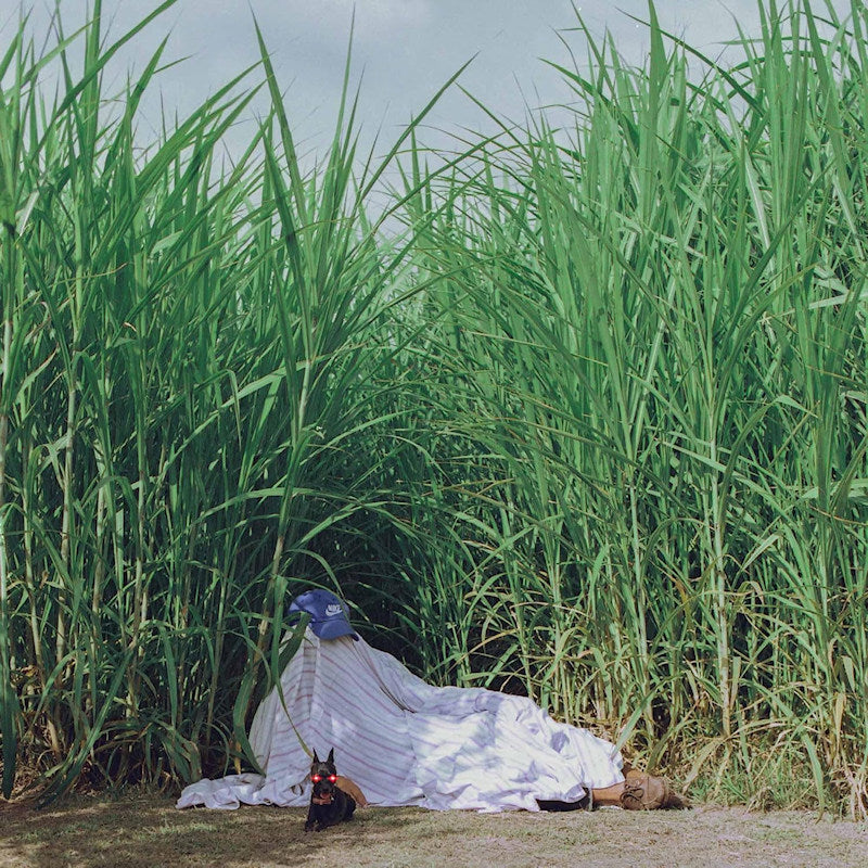 Indus - Negra (LP) - Velvet Music