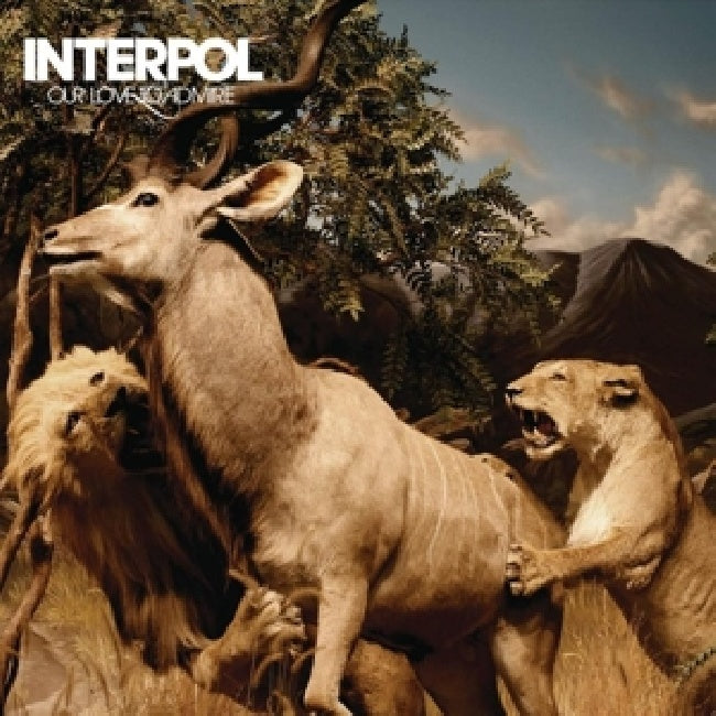 Interpol - Our love to admire (CD)