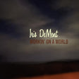 Iris DeMent - Workin' on a world (CD) - Velvet Music