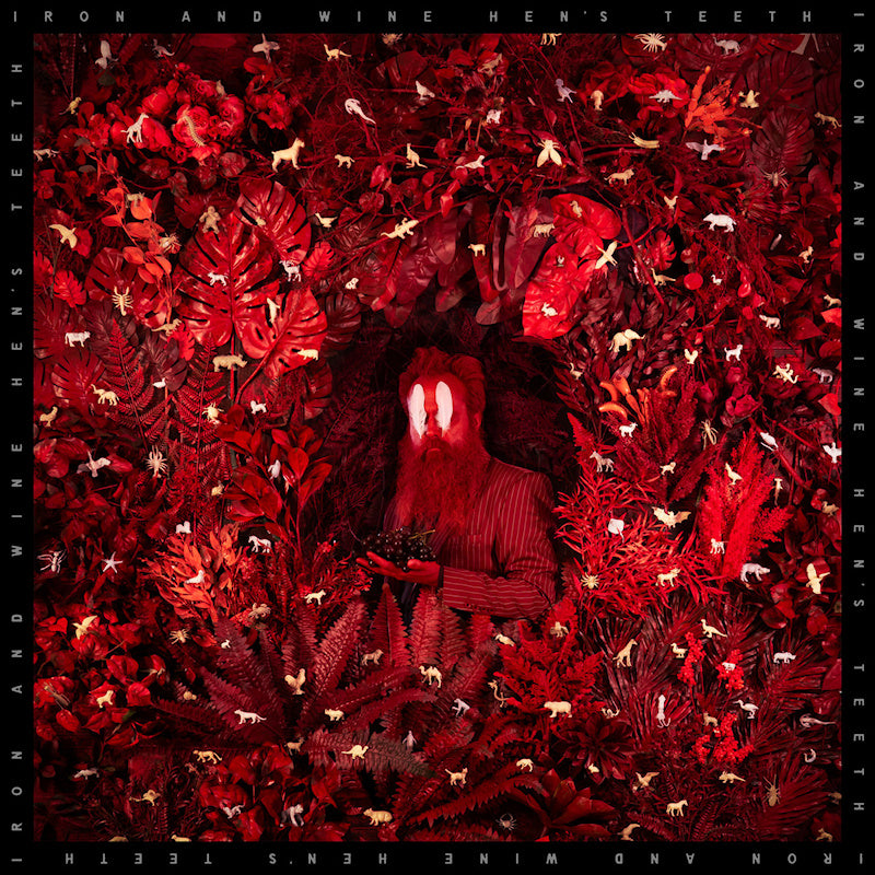 Iron & Wine - Hen's teeth (CD) - Velvet Music