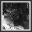 Ital Tek - Mind abandon (LP) - Velvet Music